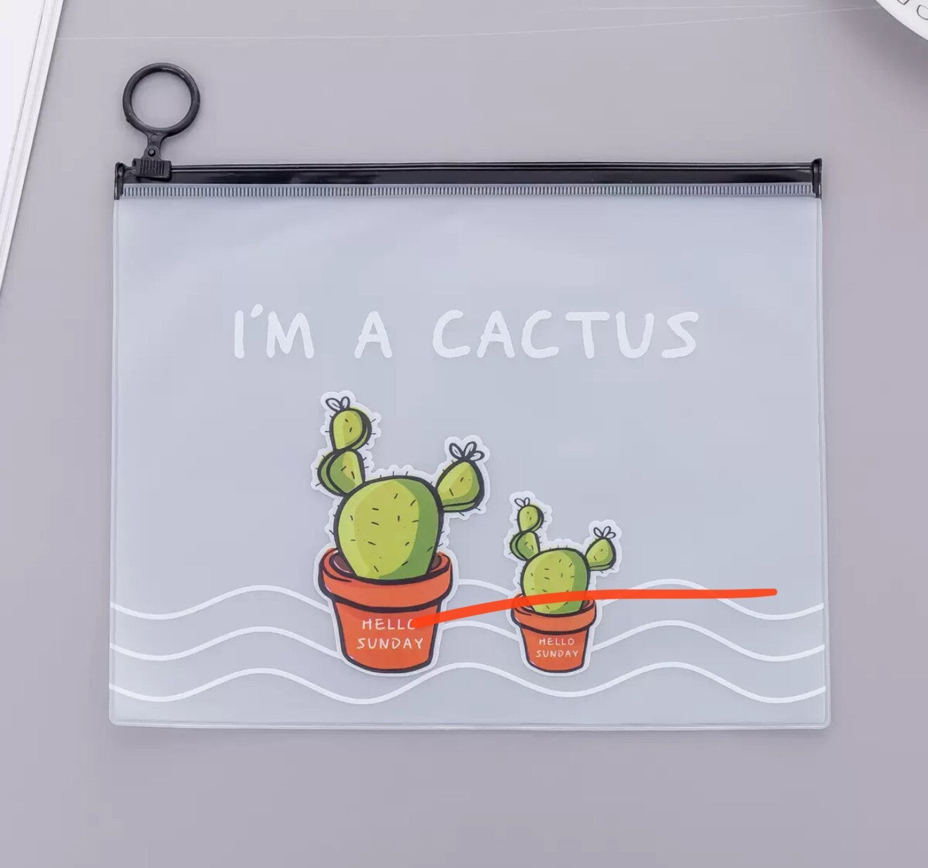 Pencil Case for Girls Boys Children Large Cactus School Pencil Cases