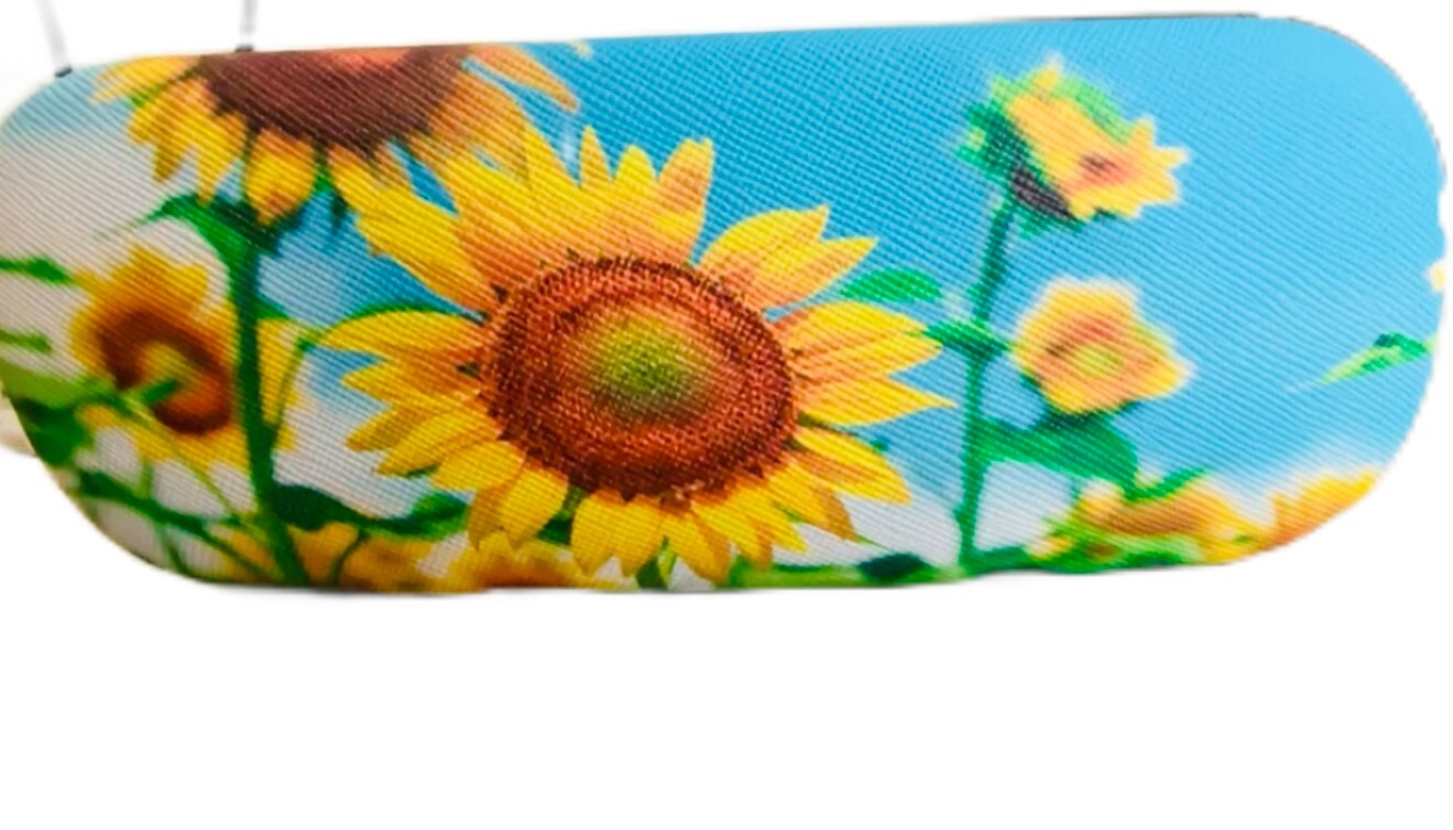 Eye Glasses Sunglasses Hard Case Box Protector Hold Gift  New Portable Unisex