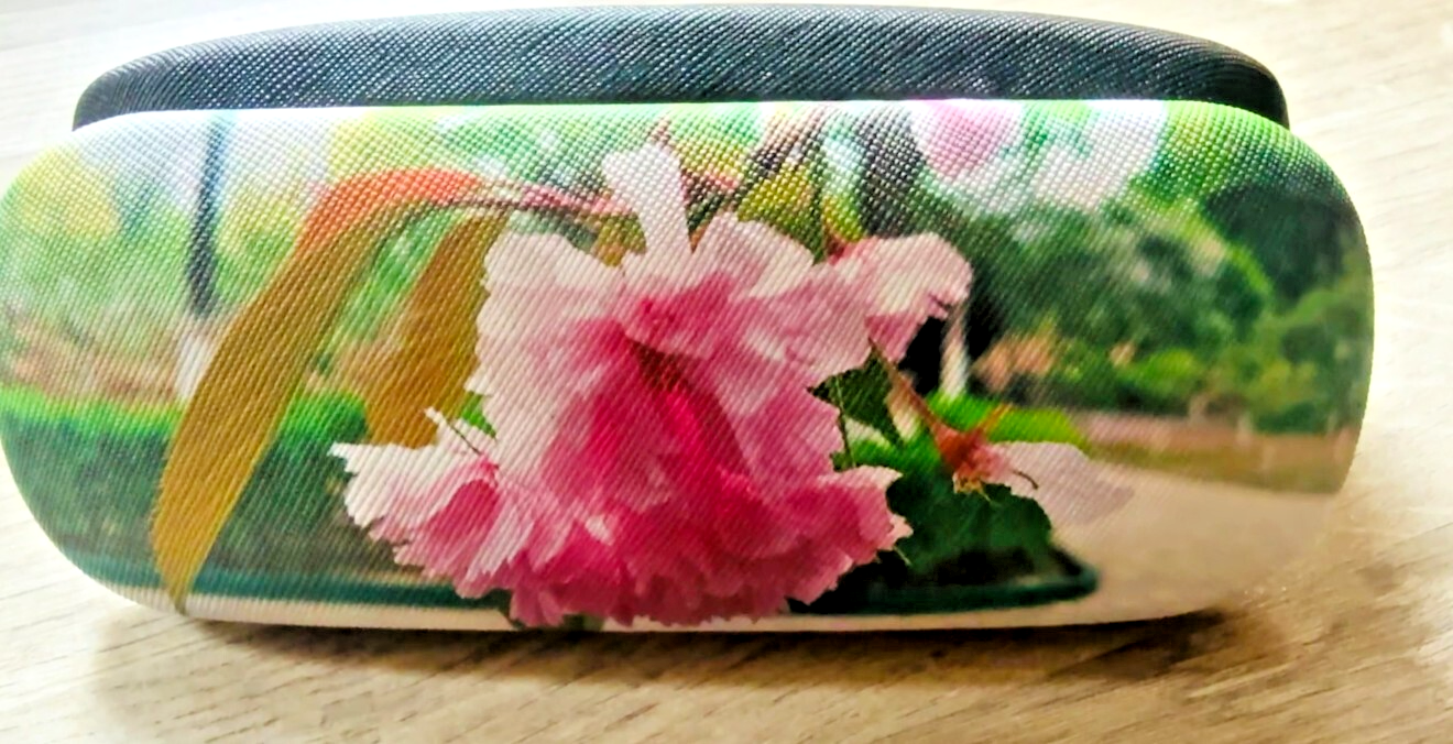 Eye Glasses Sunglasses Hard Case Box Protector Hold Gift  New Portable Unisex