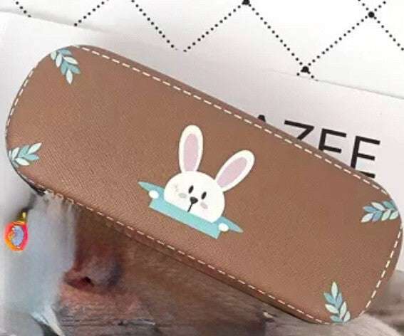 Eye Glasses Sunglasses Hard Case Box Protector Hold Gift Portable X Brand New